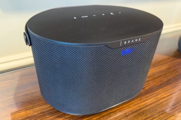 Brane X portable speaker packs a hell of a punch in a small package • TechCrunch