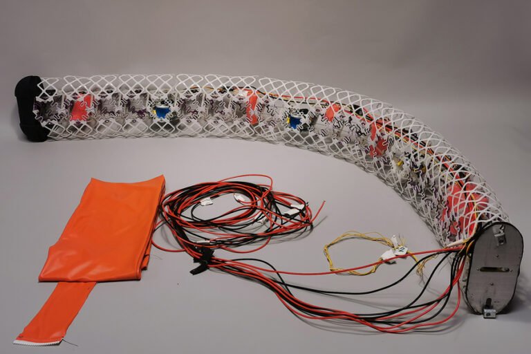 Modular eel robots combine soft and rigid components • TechCrunch