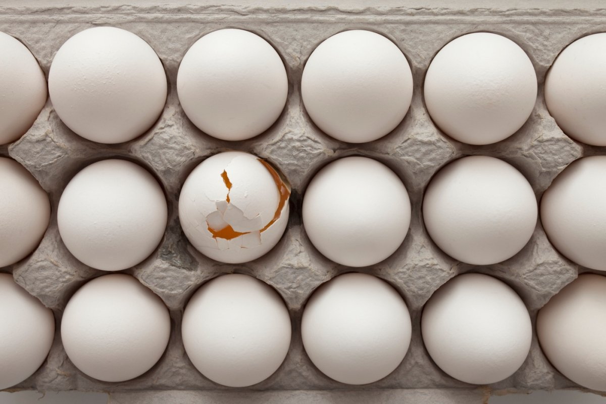 Higher egg prices yield demand for alternatives • TechCrunch