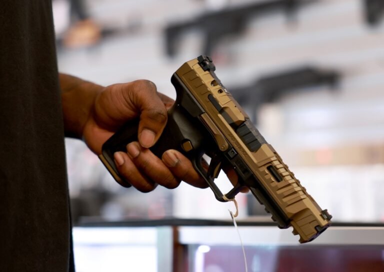 Hackers steal gun owners' data from firearm auction website