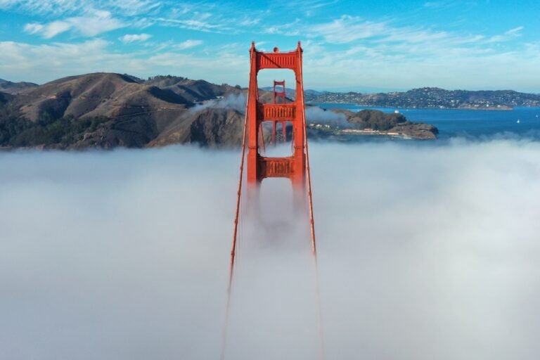 Silicon Valley’s surreal weekend | TechCrunch