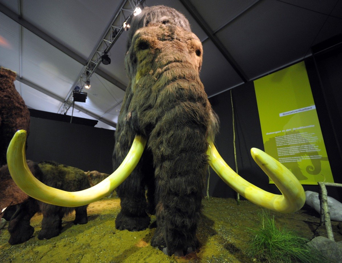 Woolly mammoth de-extinction is definitely not about making real-life Pokémon