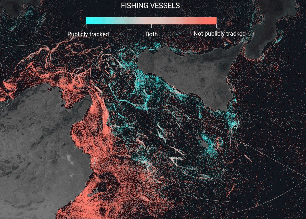 Gfw Visualization Fishing Vessels Sicily