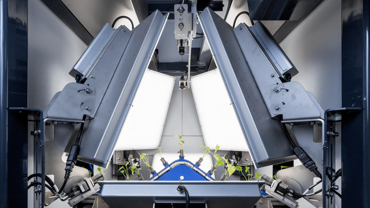 Plant Sorting Machine By Iso Group Powered By Robovision